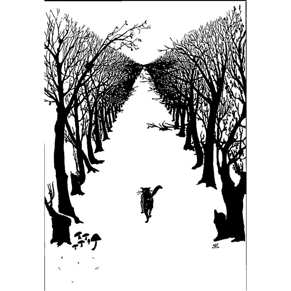 Postcard Cat  The Cat That Walked by Himself Original Rudyard Kipling Matt